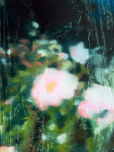 Wildflowers at Night