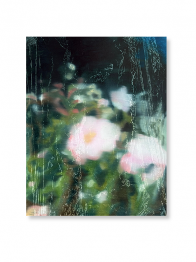 Wildflowers at Night