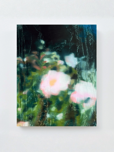 Wildflowers at Night