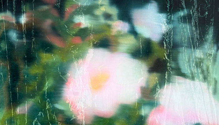 wildflorwers-at-night-2